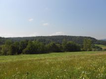 Działka rolna Berezka. Zdjęcie 2