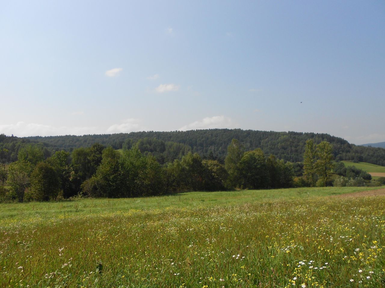 Działka rolna Berezka. Zdjęcie 3
