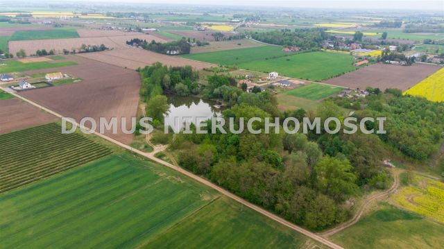 Działka rolna Kutno. Zdjęcie 5