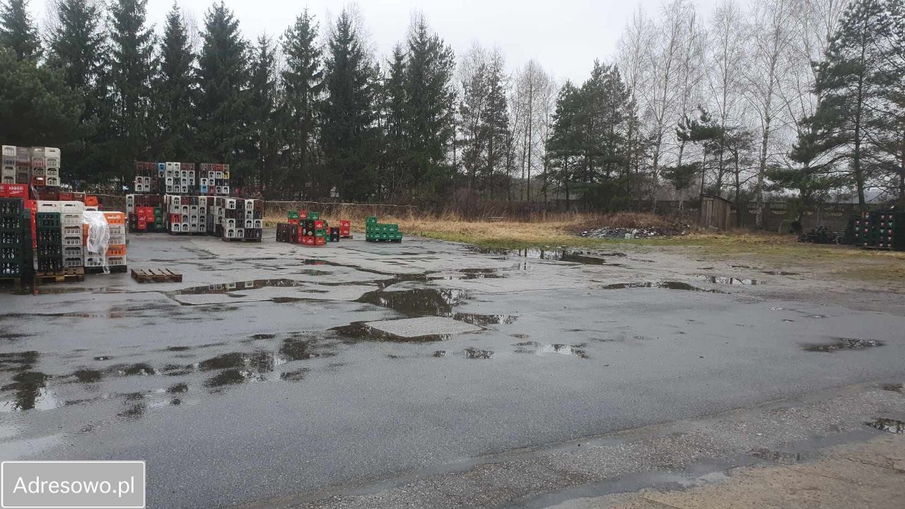 Hala/magazyn Strobów. Zdjęcie 8