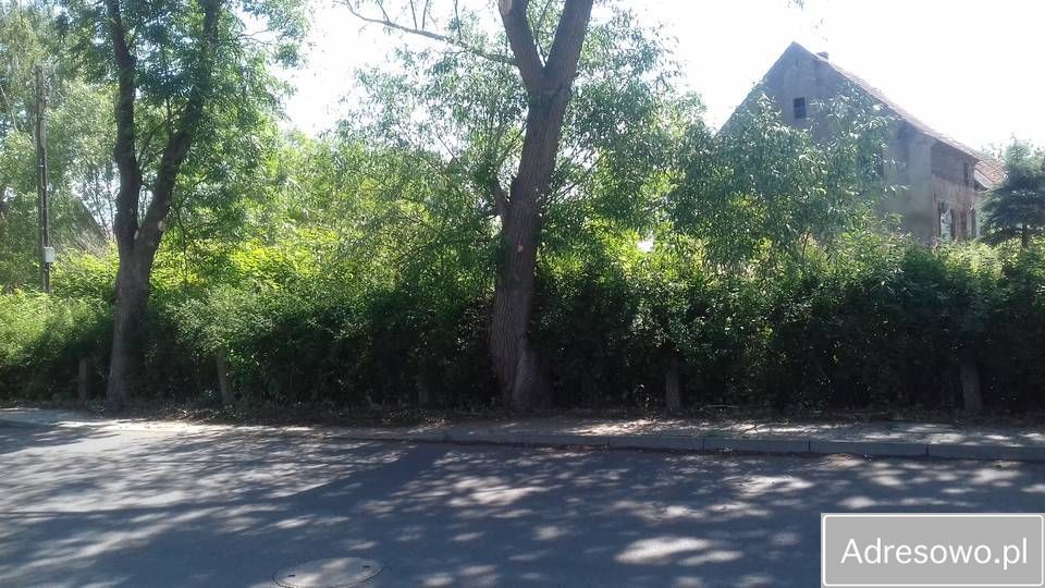 gospodarstwo Bożnów. Zdjęcie 5