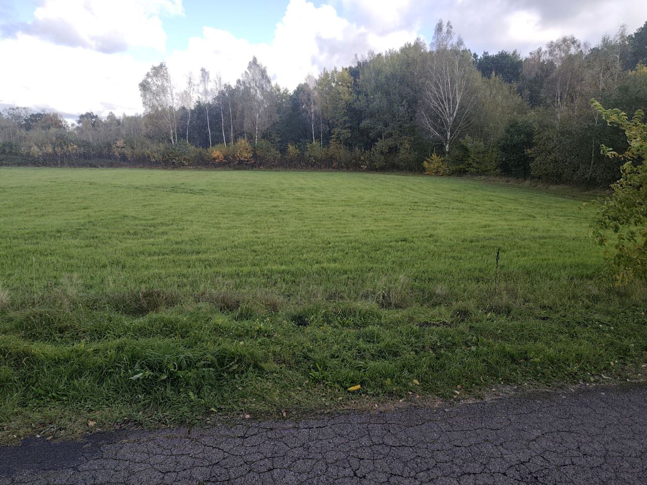 Działka budowlana Wyszebórz. Zdjęcie 10