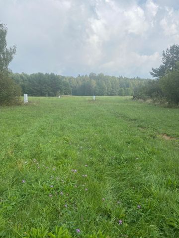 Działka budowlana Wszewilki Pomorska, Pomorska. Zdjęcie 1