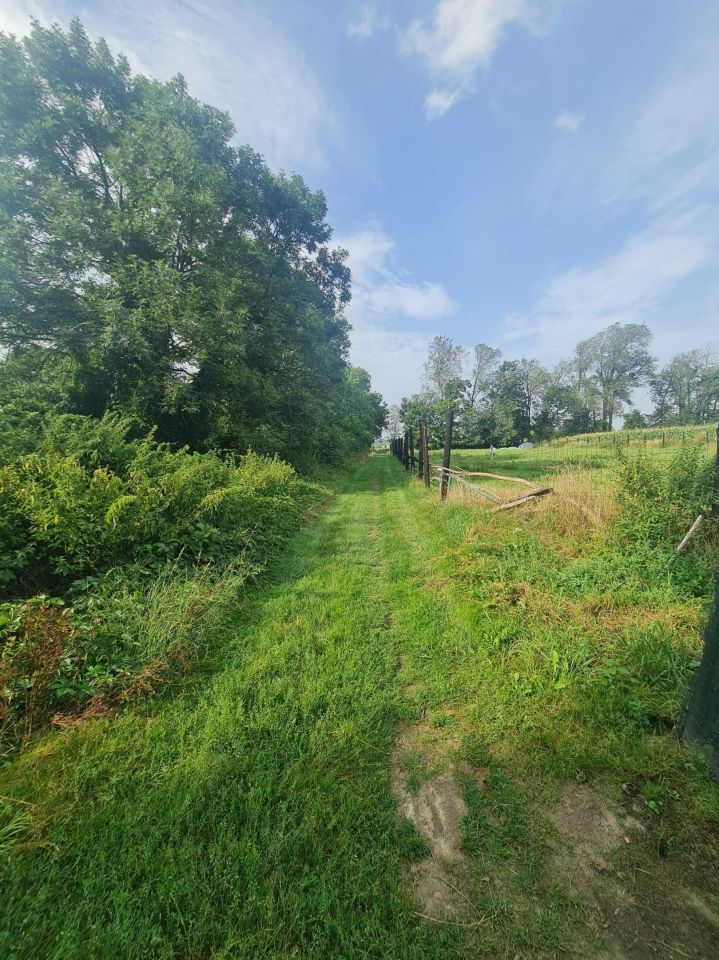 Działka budowlana Marchwacz. Zdjęcie 8