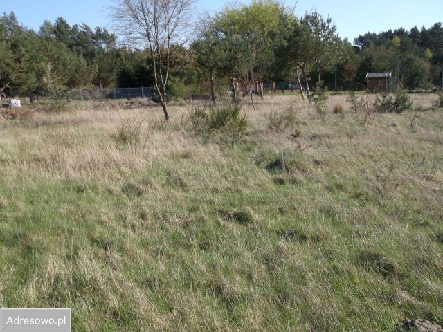 Działka budowlana Rozewie, ul. Jastrzębia. Zdjęcie 1