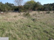 Działka budowlana Rozewie, ul. Jastrzębia. Zdjęcie 1