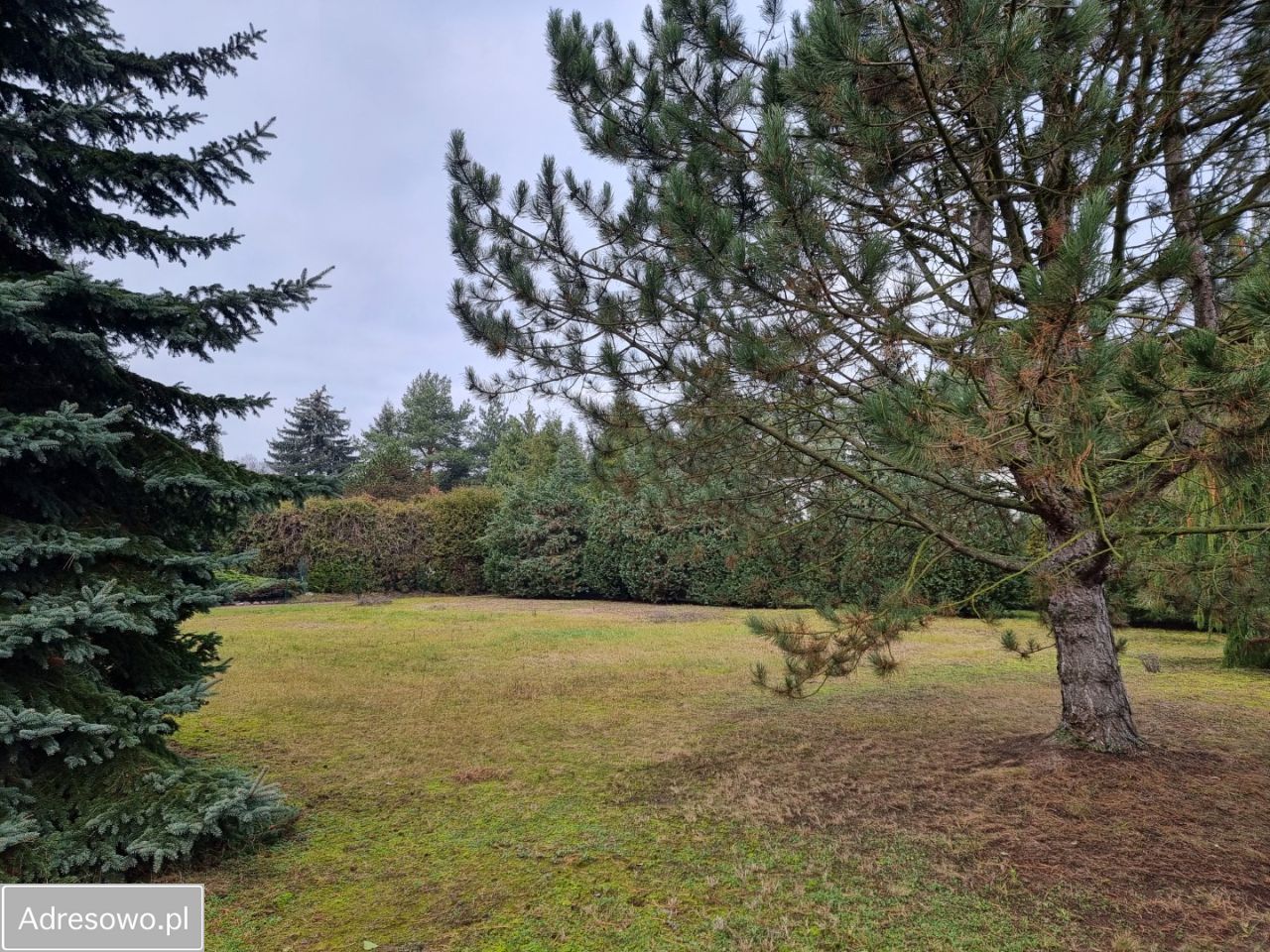 Działka budowlana Puszczykowo, ul. 3 Maja. Zdjęcie 13