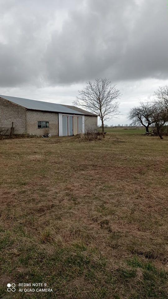 Hala/magazyn Wielka Wieś, ul. Strzelecka. Zdjęcie 7