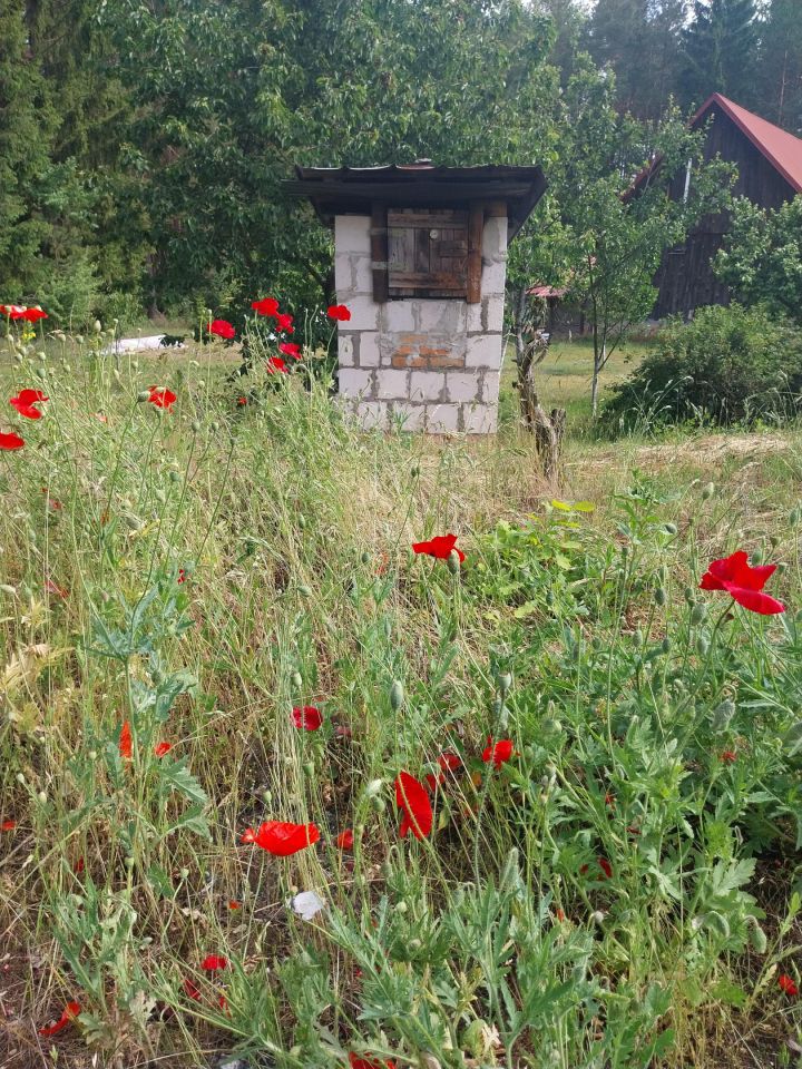 siedlisko, 4 pokoje Nowy Lipsk. Zdjęcie 20