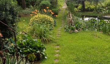 Działka rod Włocławek, ul. Kapitulna