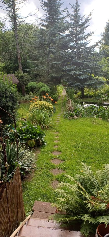 Działka rod Włocławek, ul. Kapitulna. Zdjęcie 2