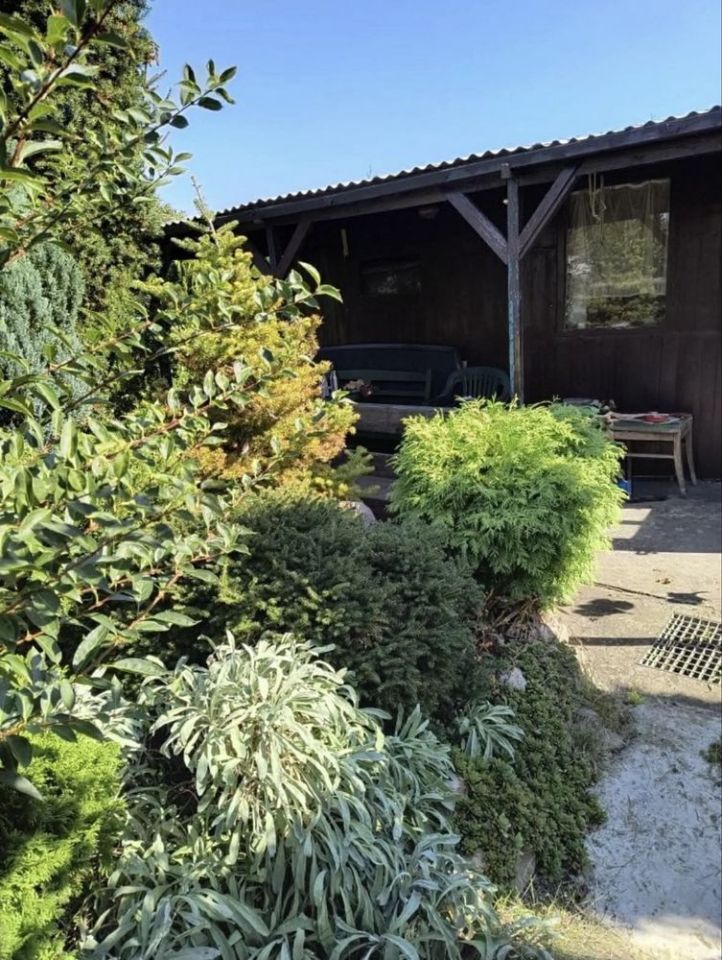 Działka rod Czempiń. Zdjęcie 6