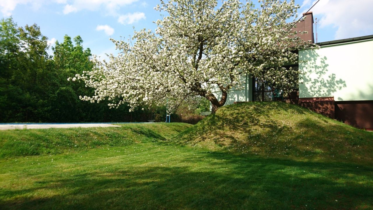 dom wolnostojący, 8 pokoi Wrocław Fabryczna, ul. Świeża. Zdjęcie 10