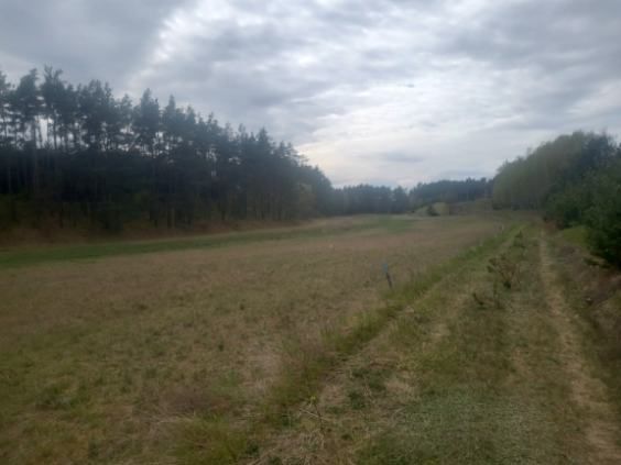 Działka budowlana Stary Jarużyn. Zdjęcie 4