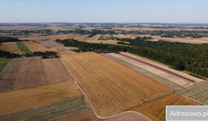 Działka siedliskowa Płonka