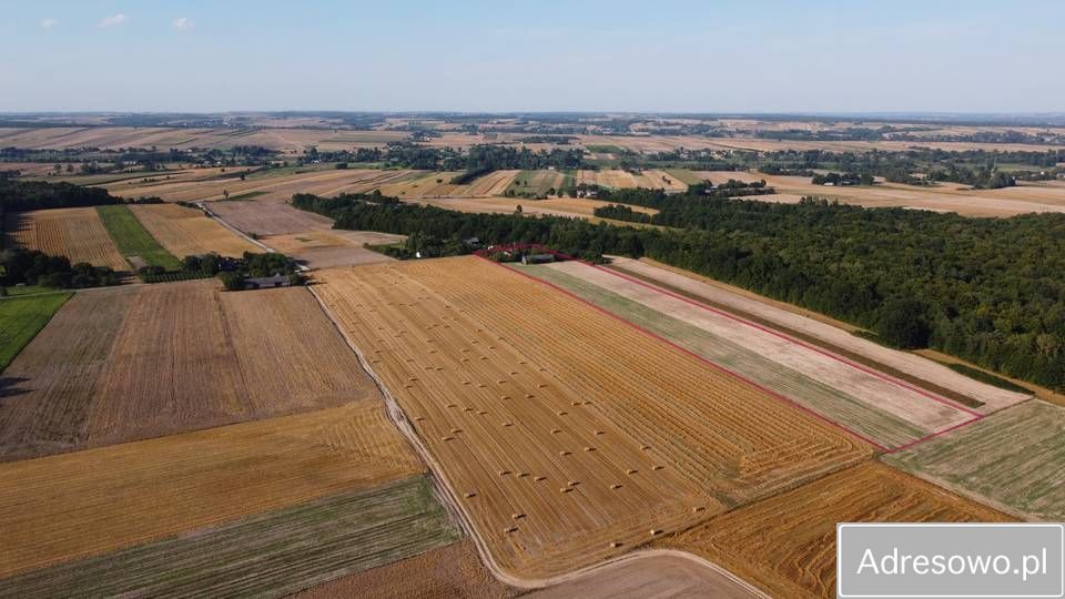 Działka siedliskowa Płonka. Zdjęcie 1