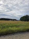 Działka budowlana Marydół Marydół-Huta. Zdjęcie 4