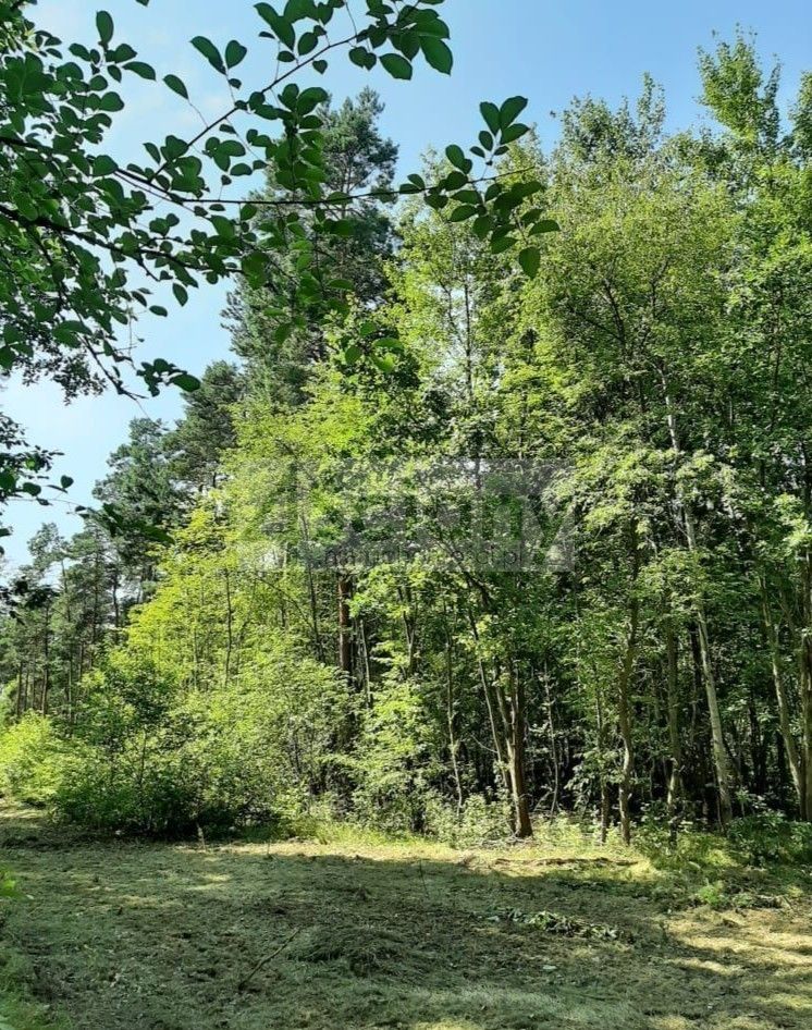 Działka budowlana Kady. Zdjęcie 3