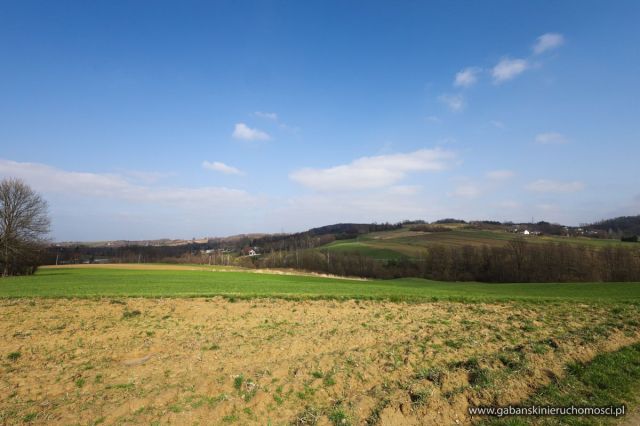 Działka rolna Zwiernik. Zdjęcie 13