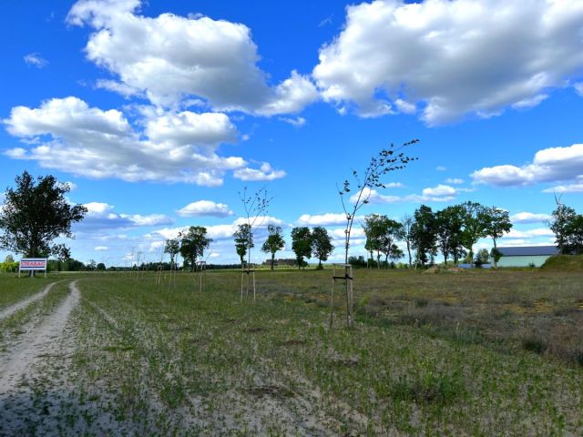 Działka inwestycyjna Mława. Zdjęcie 6