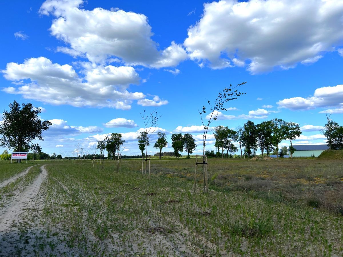 Działka inwestycyjna Mława. Zdjęcie 6