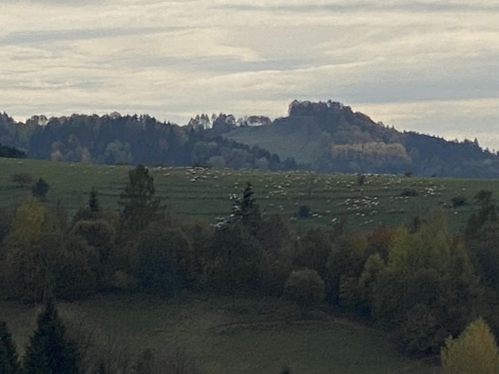 Działka rekreacyjna Krościenko nad Dunajcem. Zdjęcie 4