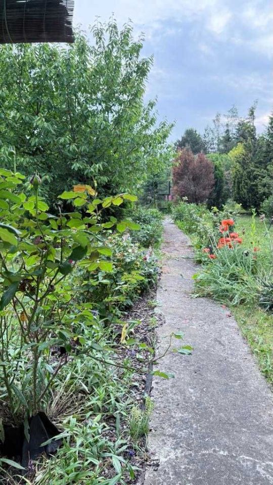 Działka rod Warszawa. Zdjęcie 3