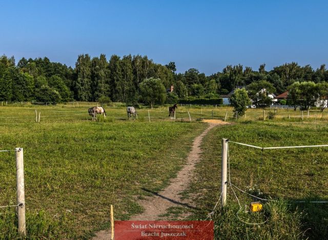 dom wolnostojący, 4 pokoje Pruszowice. Zdjęcie 28