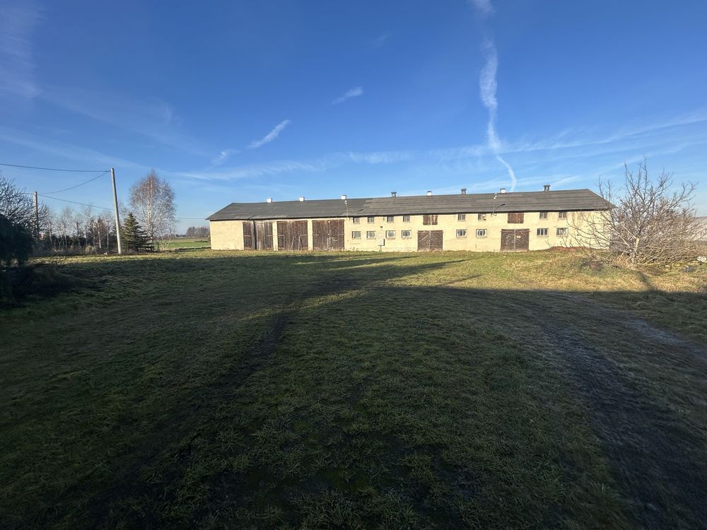 gospodarstwo Domaniew. Zdjęcie 8