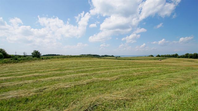 Działka inwestycyjna Łęcze. Zdjęcie 4
