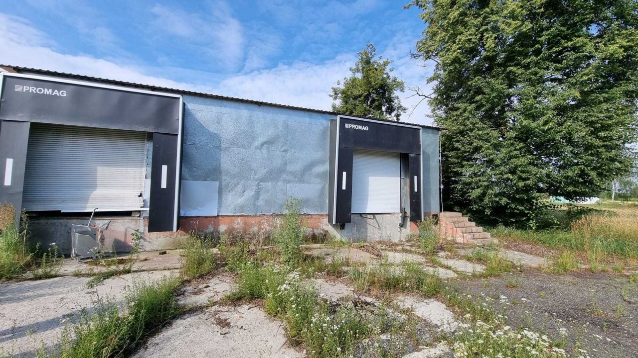 Działka inwestycyjna Krzywizna. Zdjęcie 3