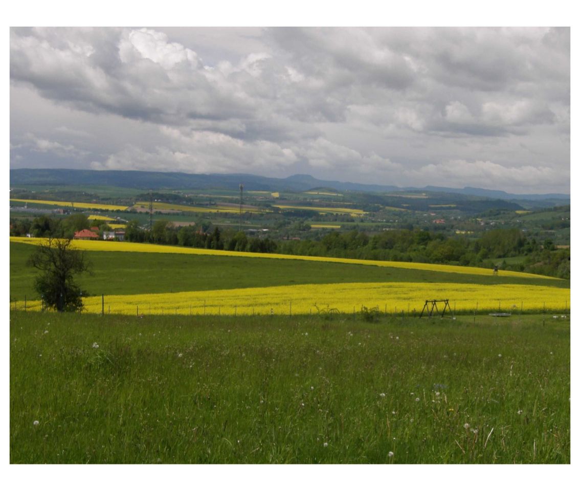 Działka budowlana Wojciechowice. Zdjęcie 5