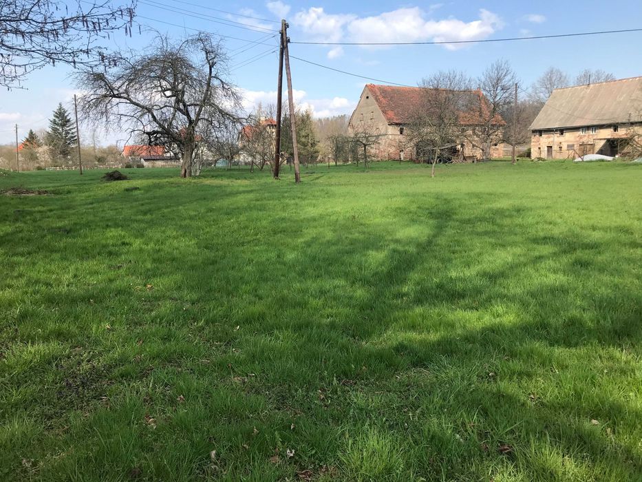 Działka siedliskowa Nowy Kościół. Zdjęcie 6