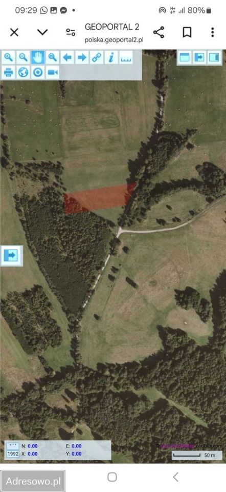 Działka rolna Jaworek. Zdjęcie 5