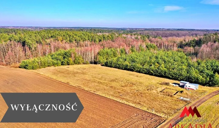 Działka Lipno