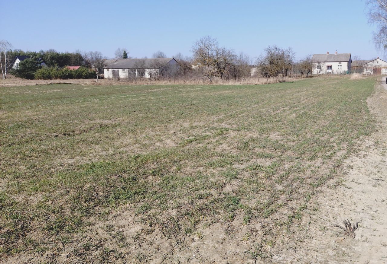 Działka budowlana Stara Jedlanka Jedlanka. Zdjęcie 15