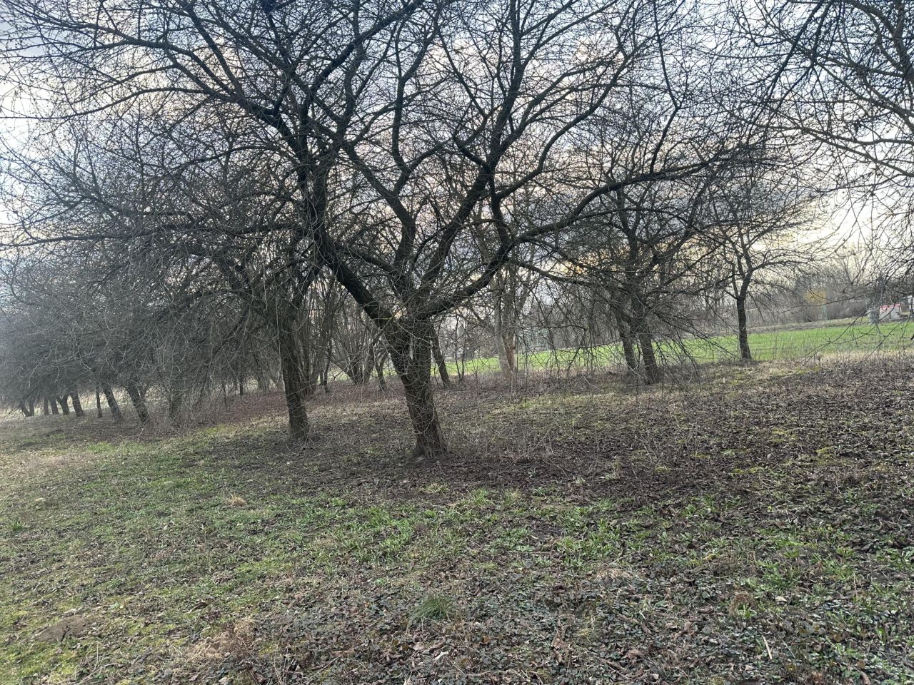 Działka budowlana Dęblin Michalinów, ul. Kwiatowa. Zdjęcie 6