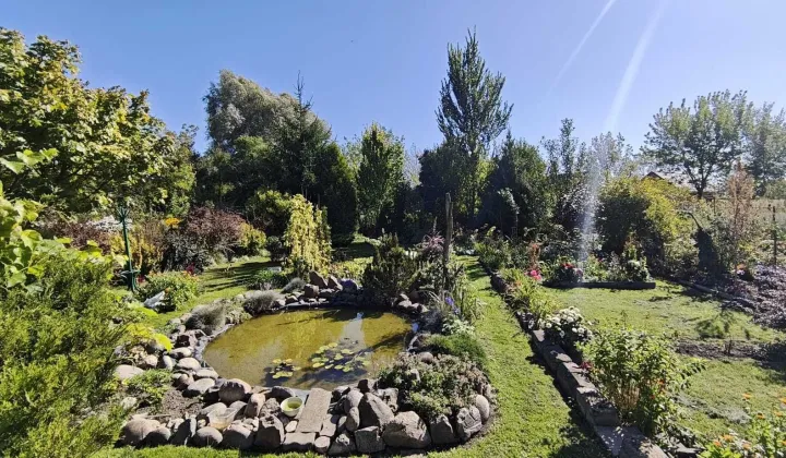 Działka rod Zamość, ul. Aleksandra Fredry