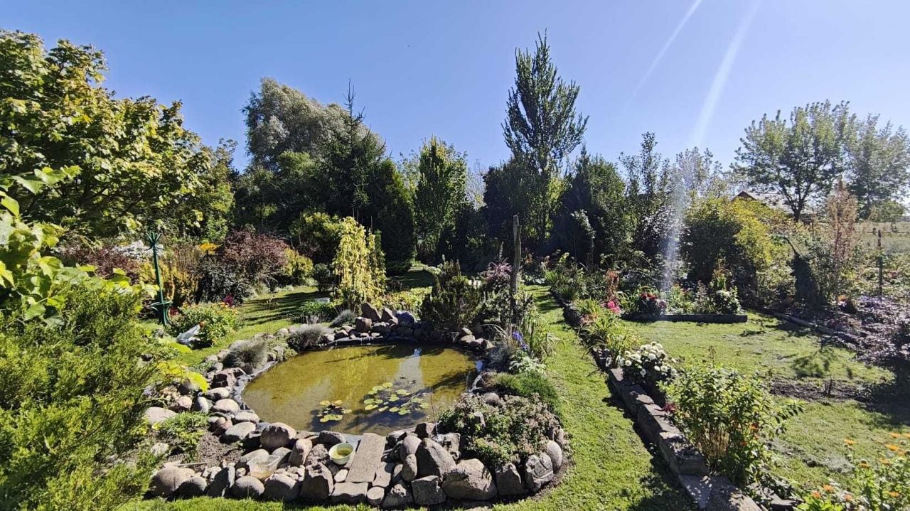 Działka rod Zamość, ul. Aleksandra Fredry. Zdjęcie 1