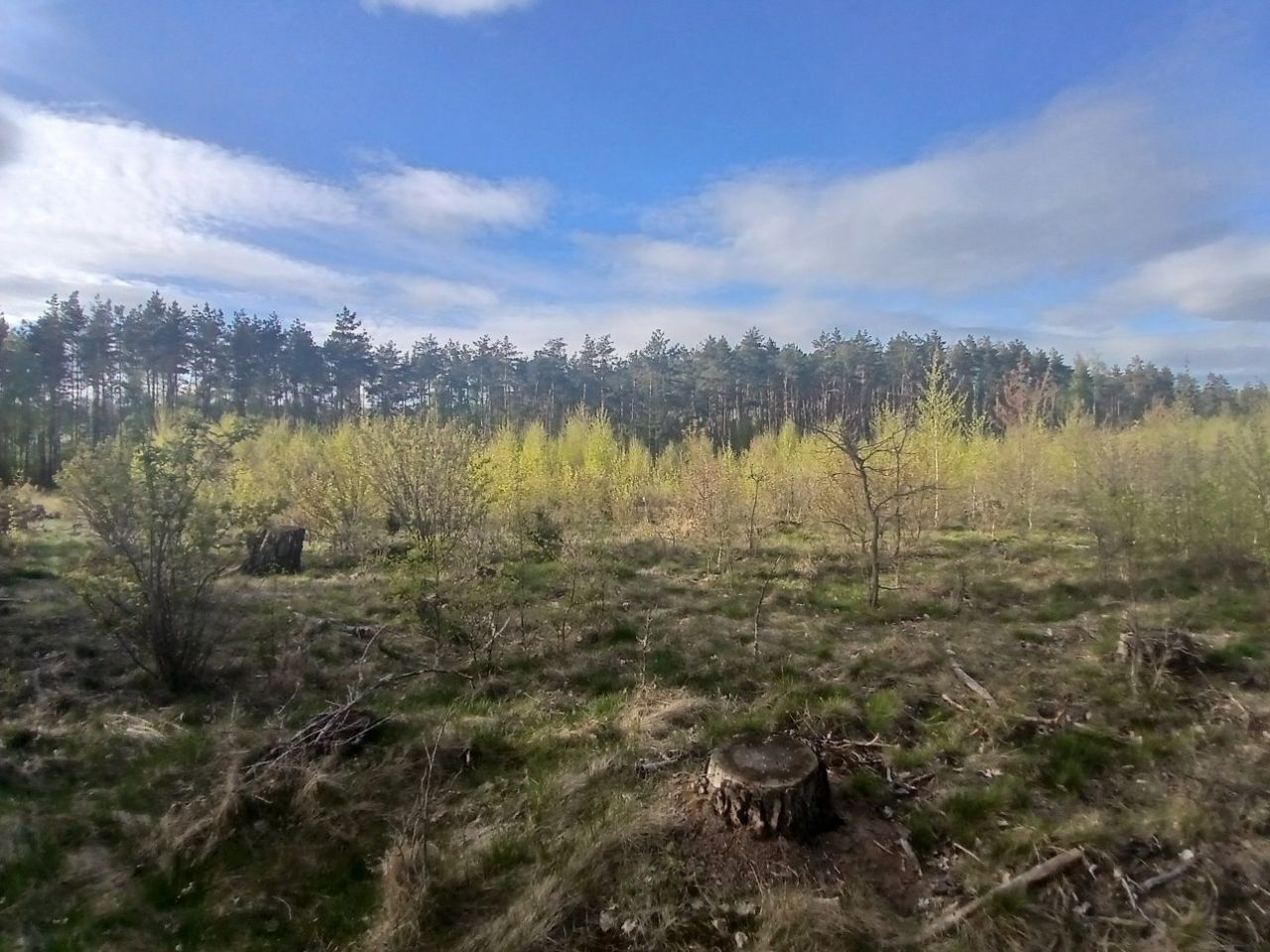 Działka inwestycyjna Rudno Jeziorowe. Zdjęcie 8