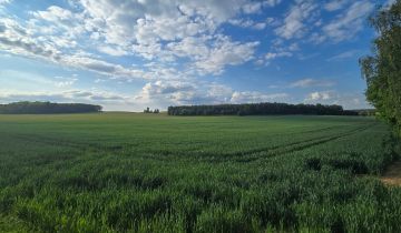 Działka budowlana Ludgierzowice