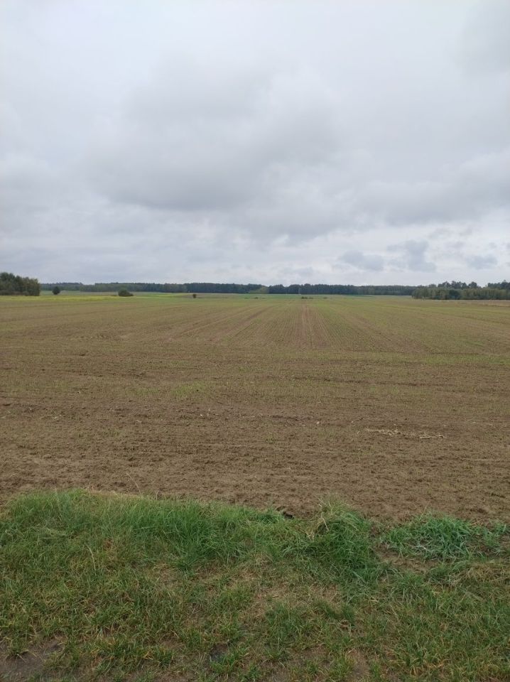 Działka rolna Wierzchowiny. Zdjęcie 4