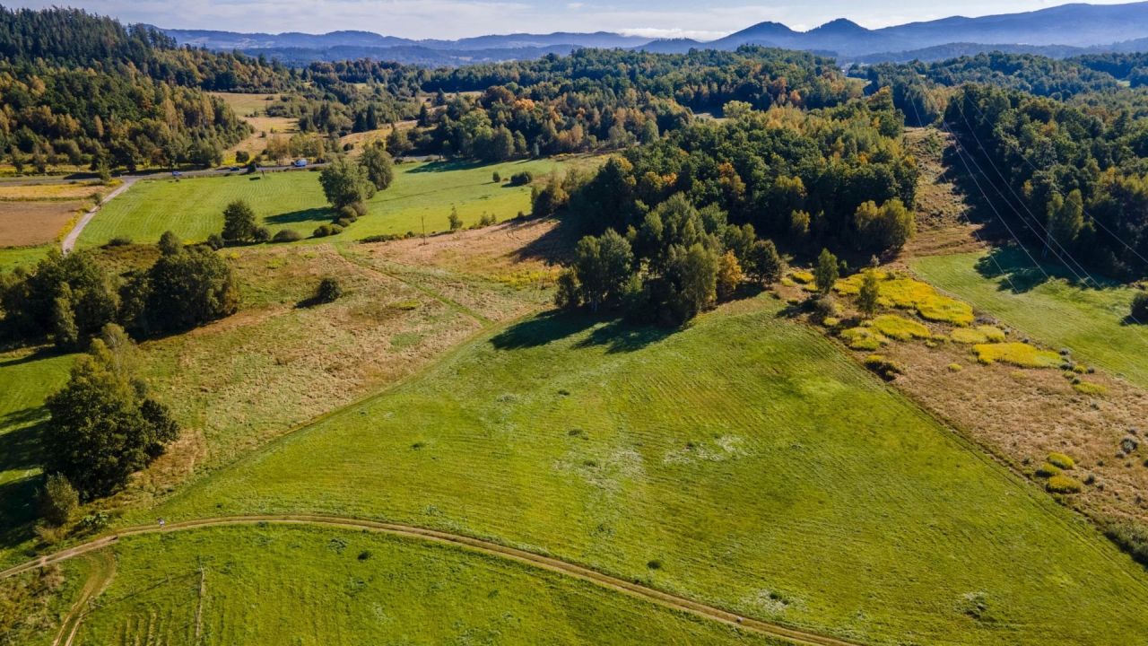 Działka inwestycyjna Jelenia Góra Czarne. Zdjęcie 6