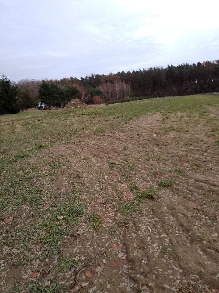 Działka budowlana Grzybów. Zdjęcie 3