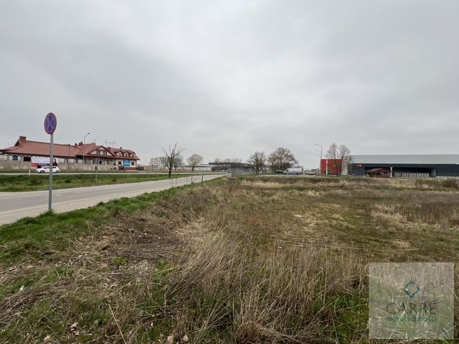 Działka inwestycyjna Przecław. Zdjęcie 3