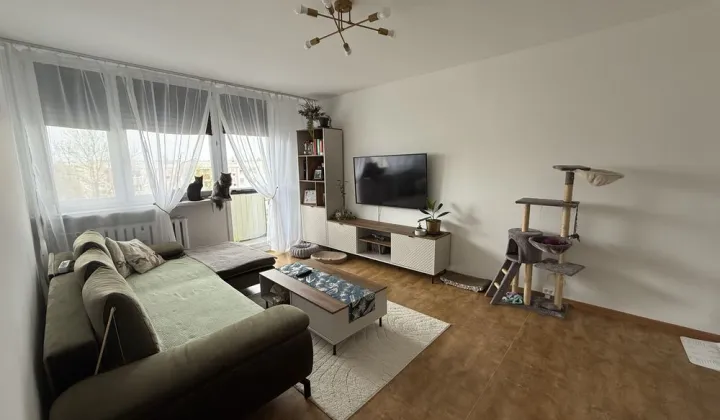 Mieszkanie 2-pokojowe Częstochowa Północ