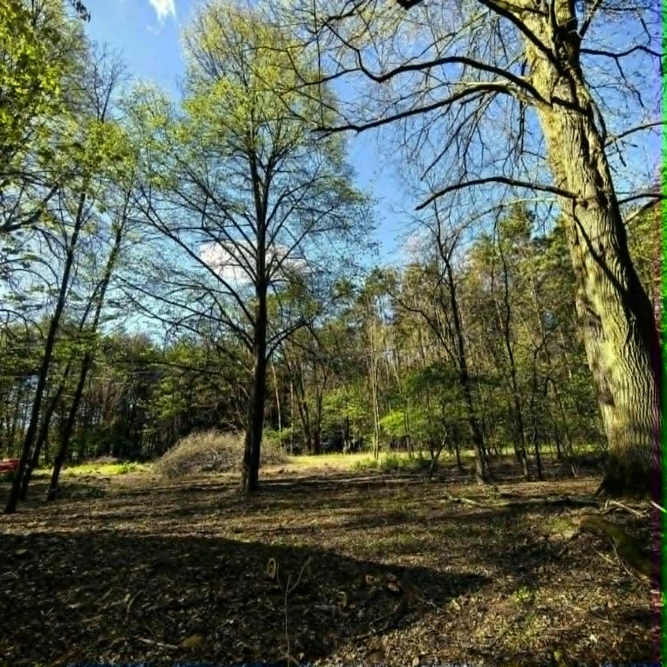 Działka budowlana Klizin. Zdjęcie 4