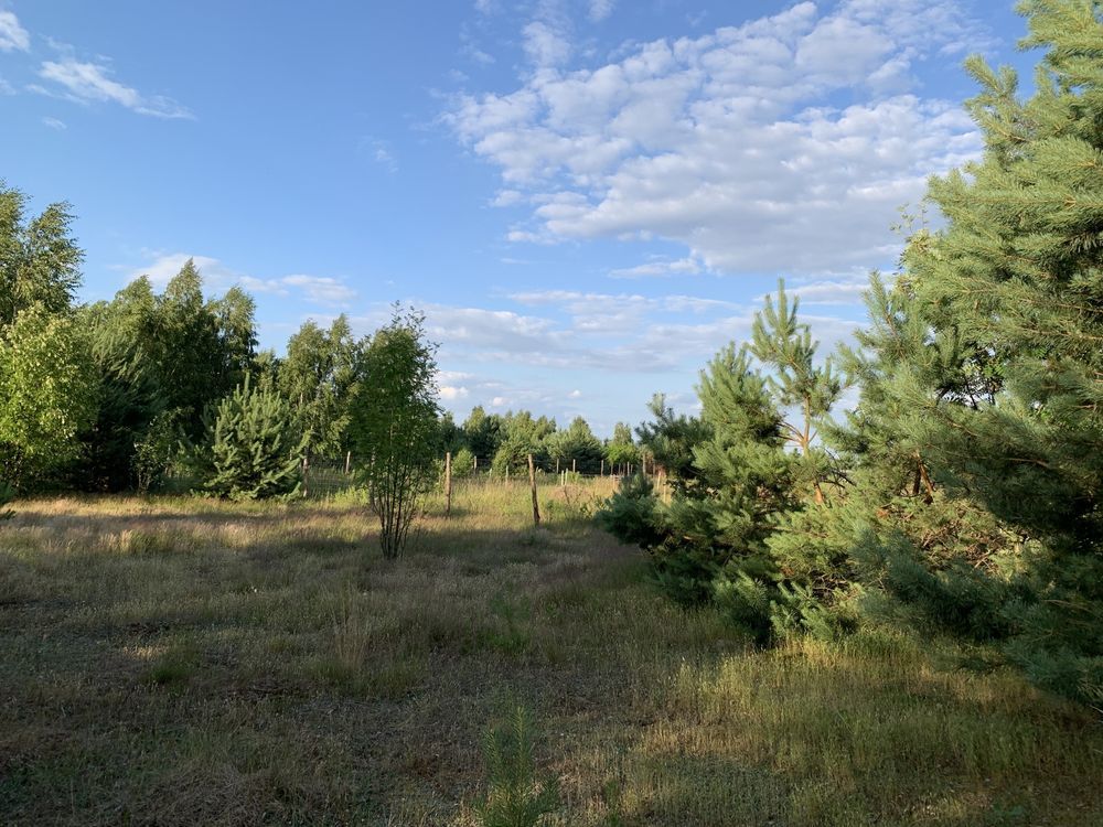 Działka rolno-budowlana Szumlin. Zdjęcie 6
