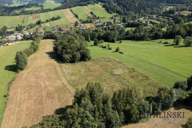 Działka rolna Bukowiec. Zdjęcie 4