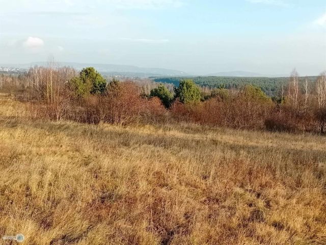 Działka inwestycyjna Daleszyce. Zdjęcie 6